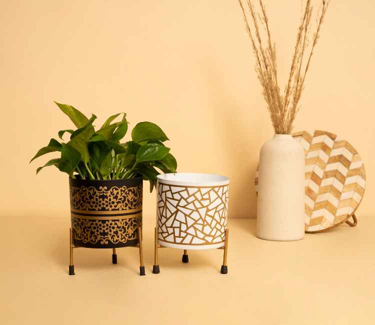 Pots & Planters 440+ Options | From ₹229