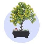 Artificial Bonsai Plants