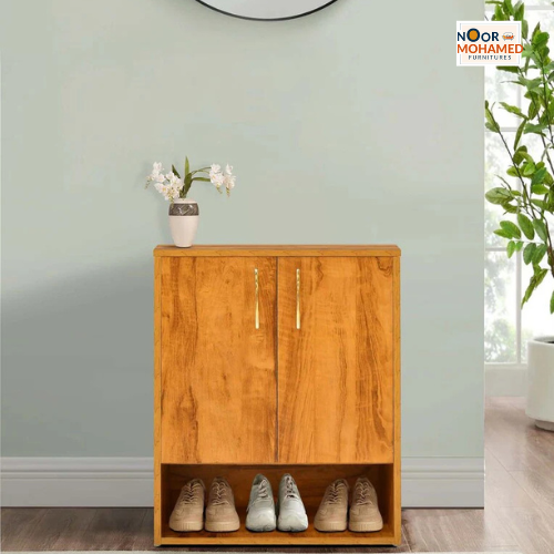 Hector Engineered Wood Shoe Cabinet with Frosty White Drawer