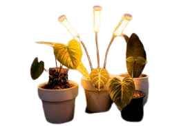 LED Lights