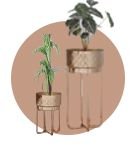 Plant Stand