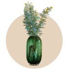Vases