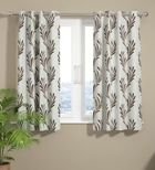 Window Curtains