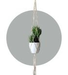 Wall Planters