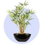 Artificial Plants