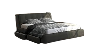 Upholstered Beds with Storage